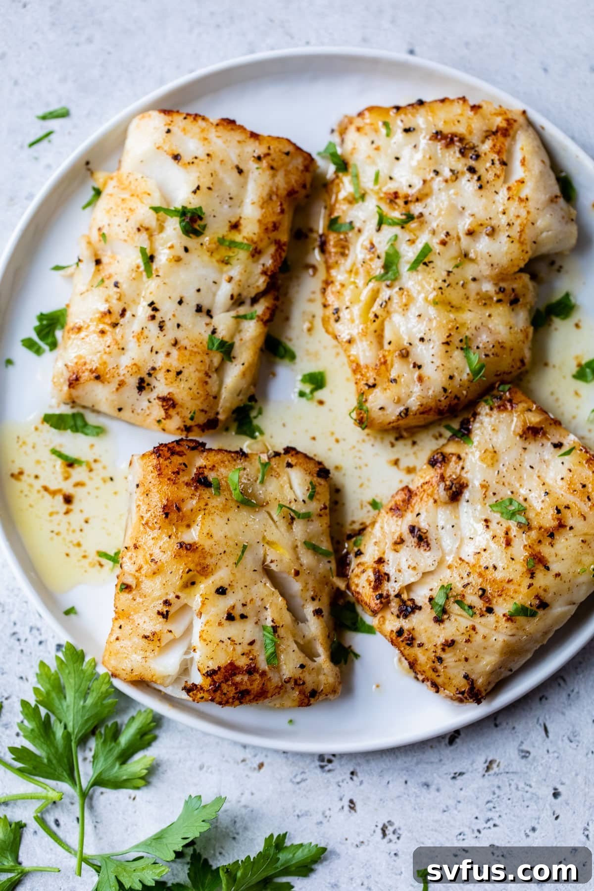 Four perfectly cooked pan-seared cod fillets, garnished with fresh parsley, ready for serving.