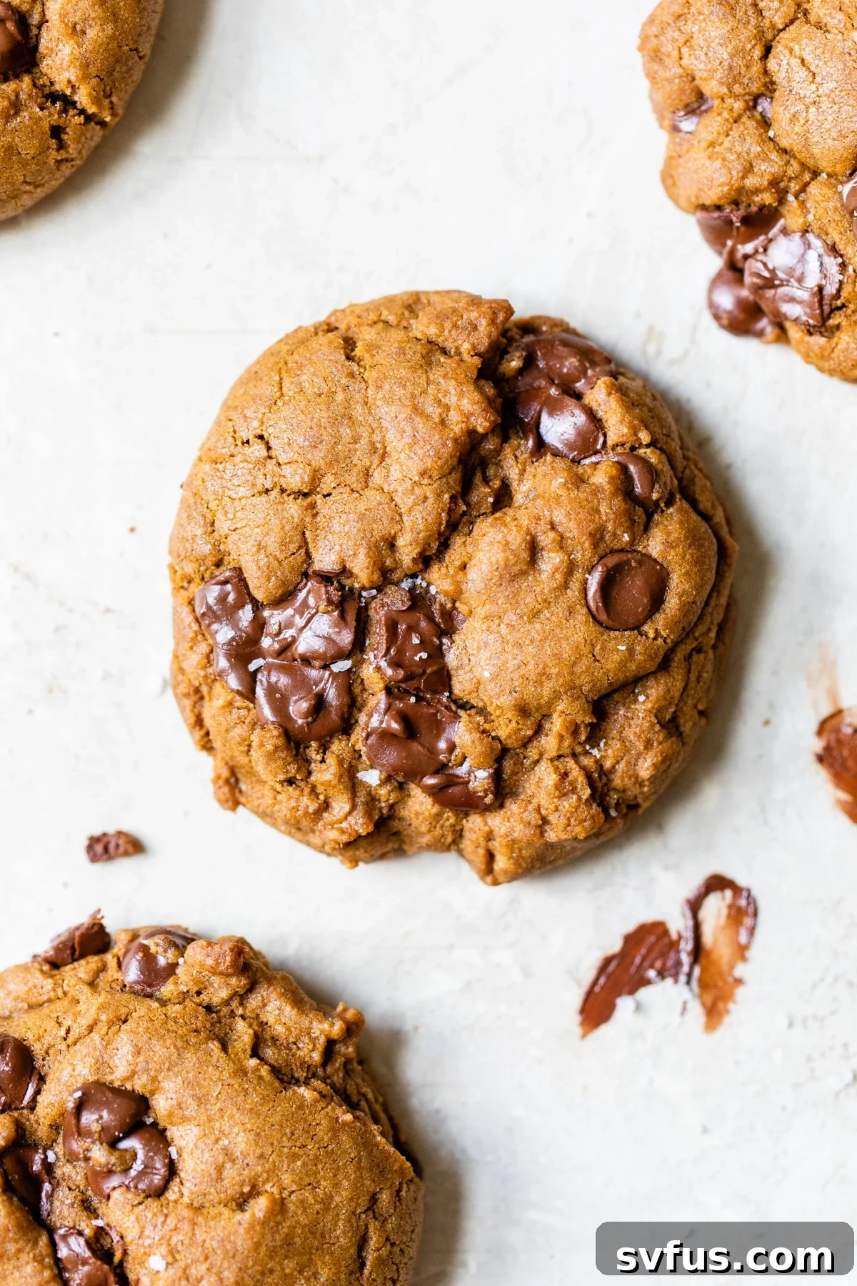 Soft and chewy Molasses Chocolate Chip Cookies loaded with chocolate chips on a rustic table