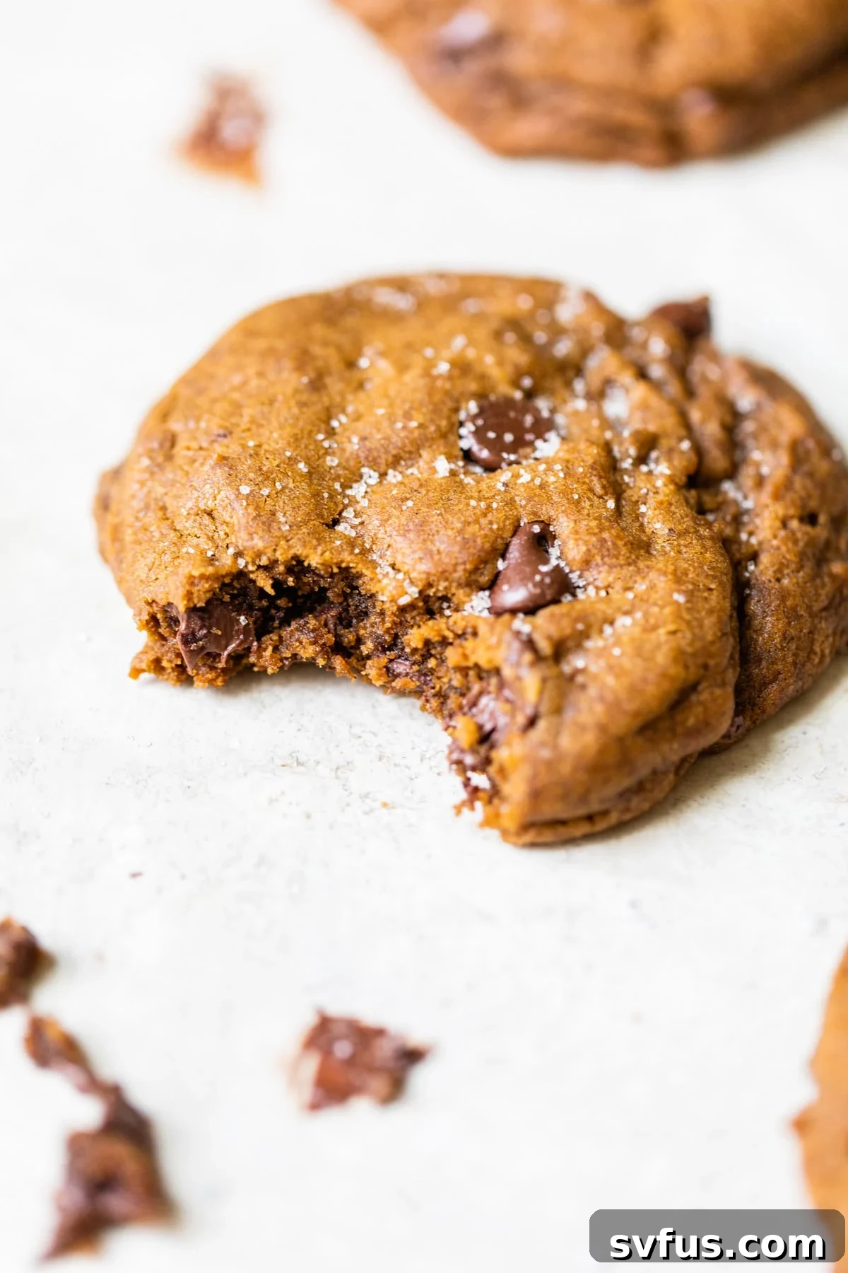 Close-up of a soft and chewy Molasses Chocolate Chip Cookie with a bite taken out, revealing melted chocolate