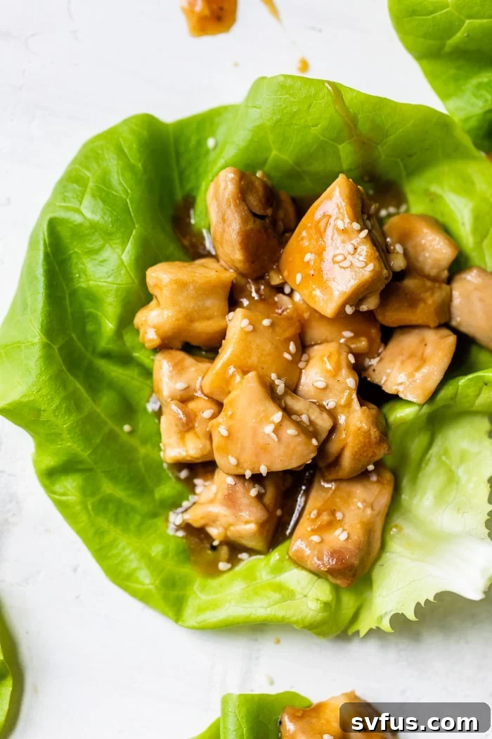 A perfectly assembled Asian Chicken Lettuce Wrap, showcasing the succulent chicken filling nestled in a crisp lettuce leaf, ready to be enjoyed.