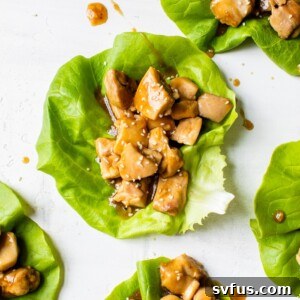 lettuce topped with marinated chicken