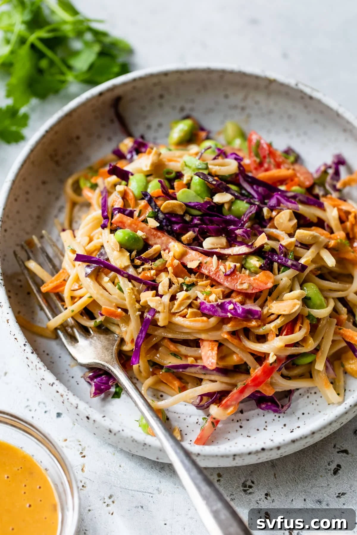 A beautifully plated Thai noodle salad with a fork, garnished with peanuts on top.