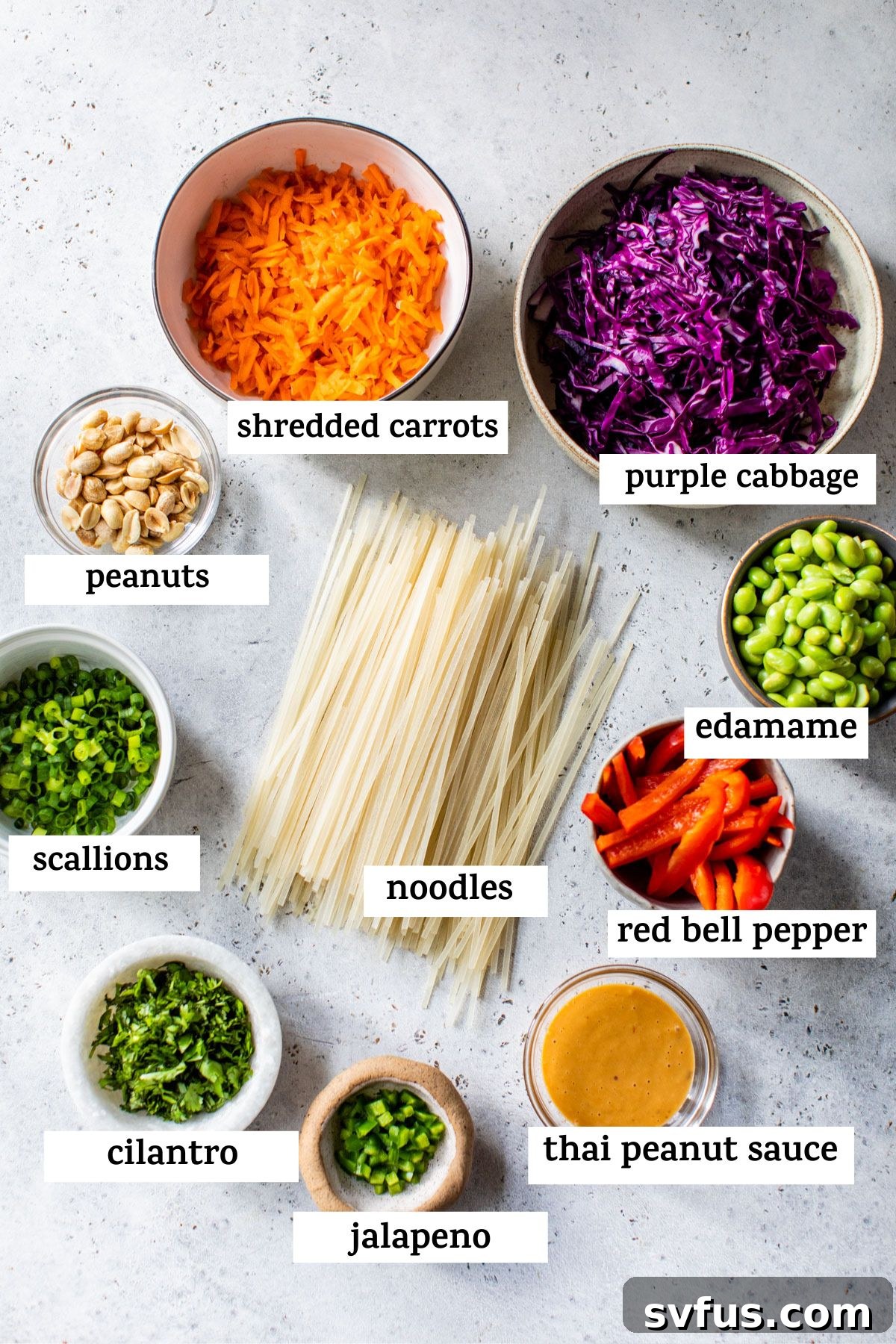 All ingredients for Thai noodle salad laid out on a table: shredded carrots, purple cabbage, peanuts, edamame, scallions, noodles, red bell pepper, cilantro, jalapeno, and Thai peanut sauce.