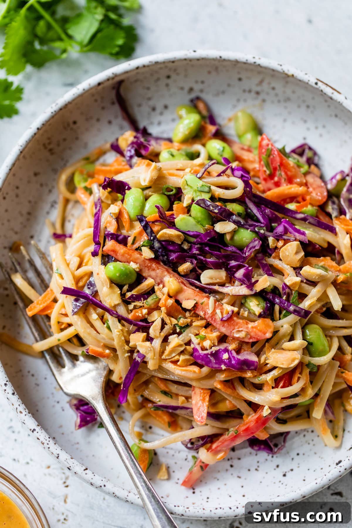 A serving of Thai noodle salad on a plate with a fork, garnished with peanuts.