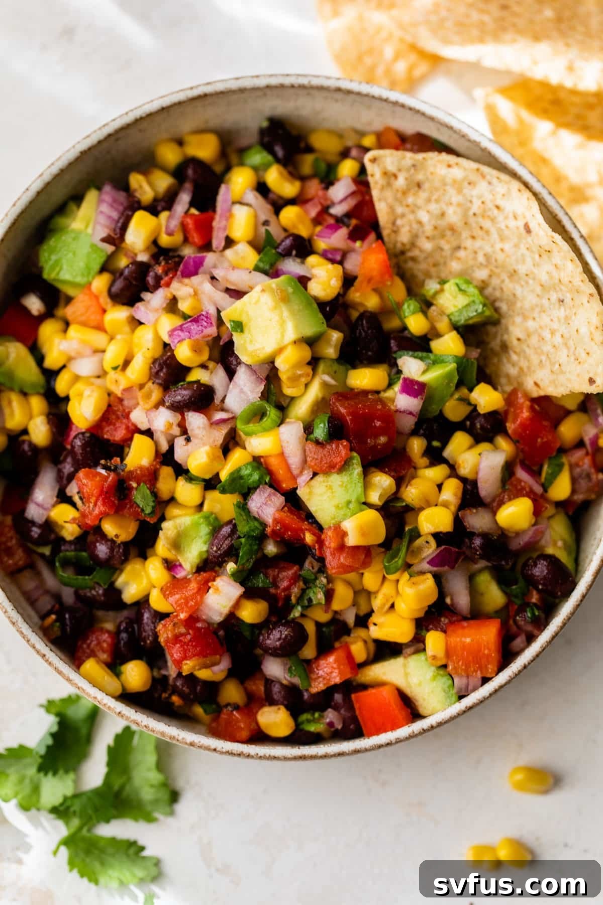 A vibrant bowl of Black Bean Corn Salsa, showcasing black beans, corn, tomatoes, cilantro, and red onion, with a tortilla chip dipped in, ready to be enjoyed.