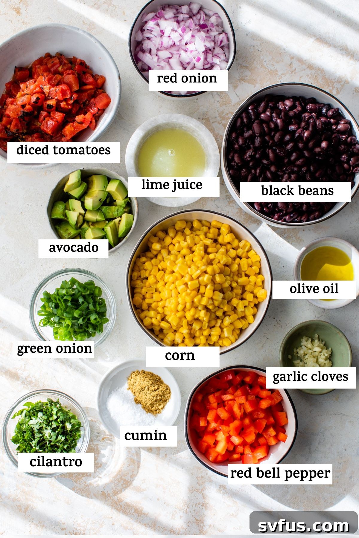 All fresh ingredients for Black Bean Corn Salsa laid out on a rustic wooden table, including black beans, corn, diced tomatoes, cilantro, red onion, green onion, red bell pepper, garlic cloves, lime, olive oil, and spices, before mixing.