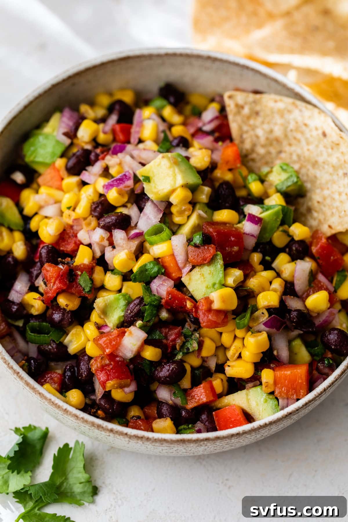A bowl of Black Bean Corn Salsa, garnished with fresh cilantro, ready to be served, with a single tortilla chip propped enticingly in the bowl.