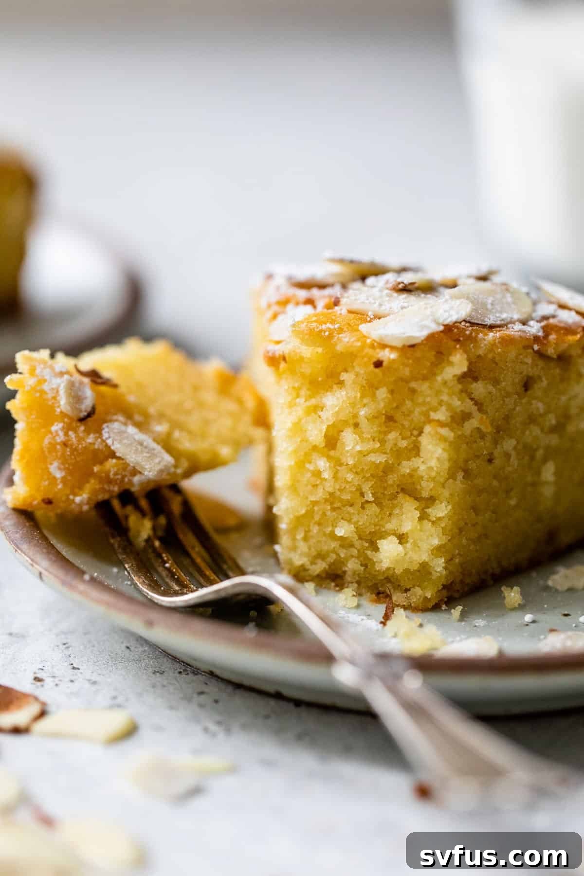 A perfectly sliced piece of Almond Ricotta Cake, showing its moist texture, presented on a plate with a fork, a bite already taken.
