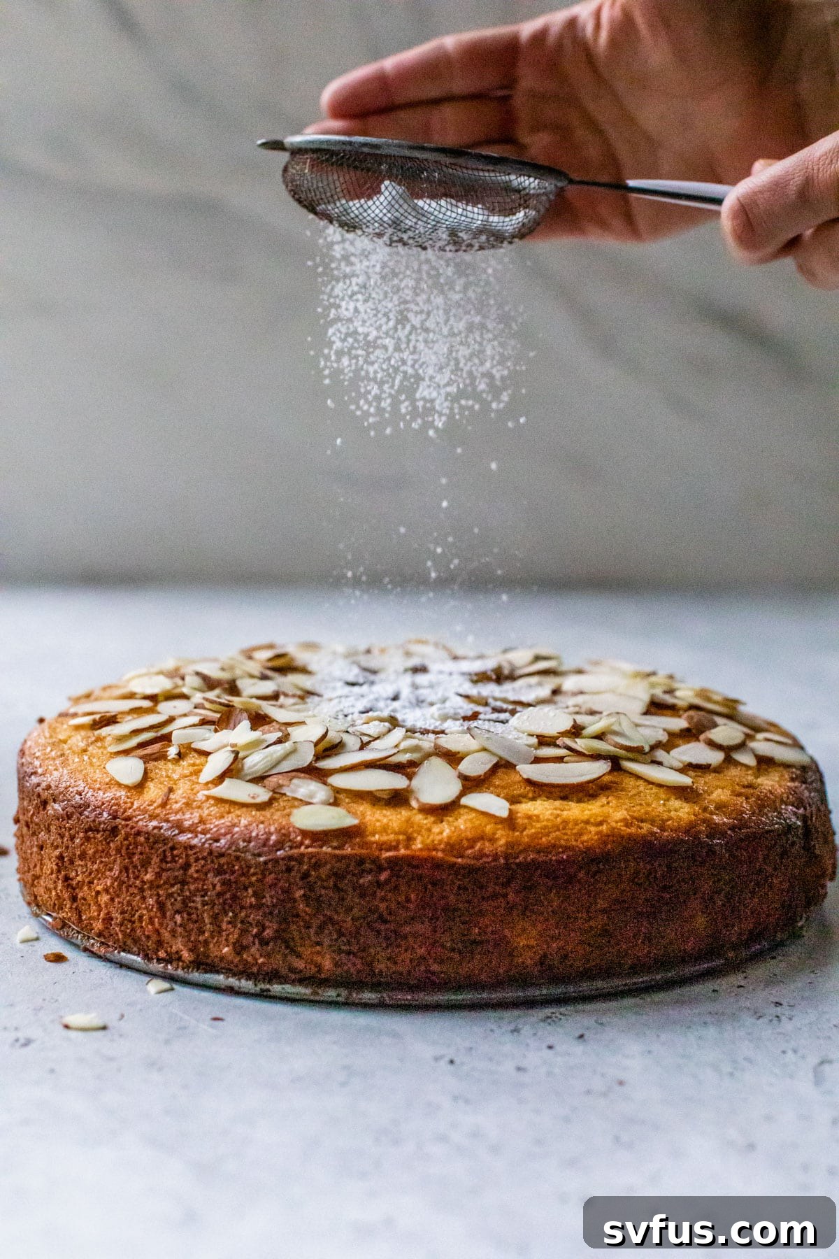 Side view of an Almond Ricotta Cake, beautifully topped with toasted sliced almonds, with powdered sugar being sifted over it for garnish.