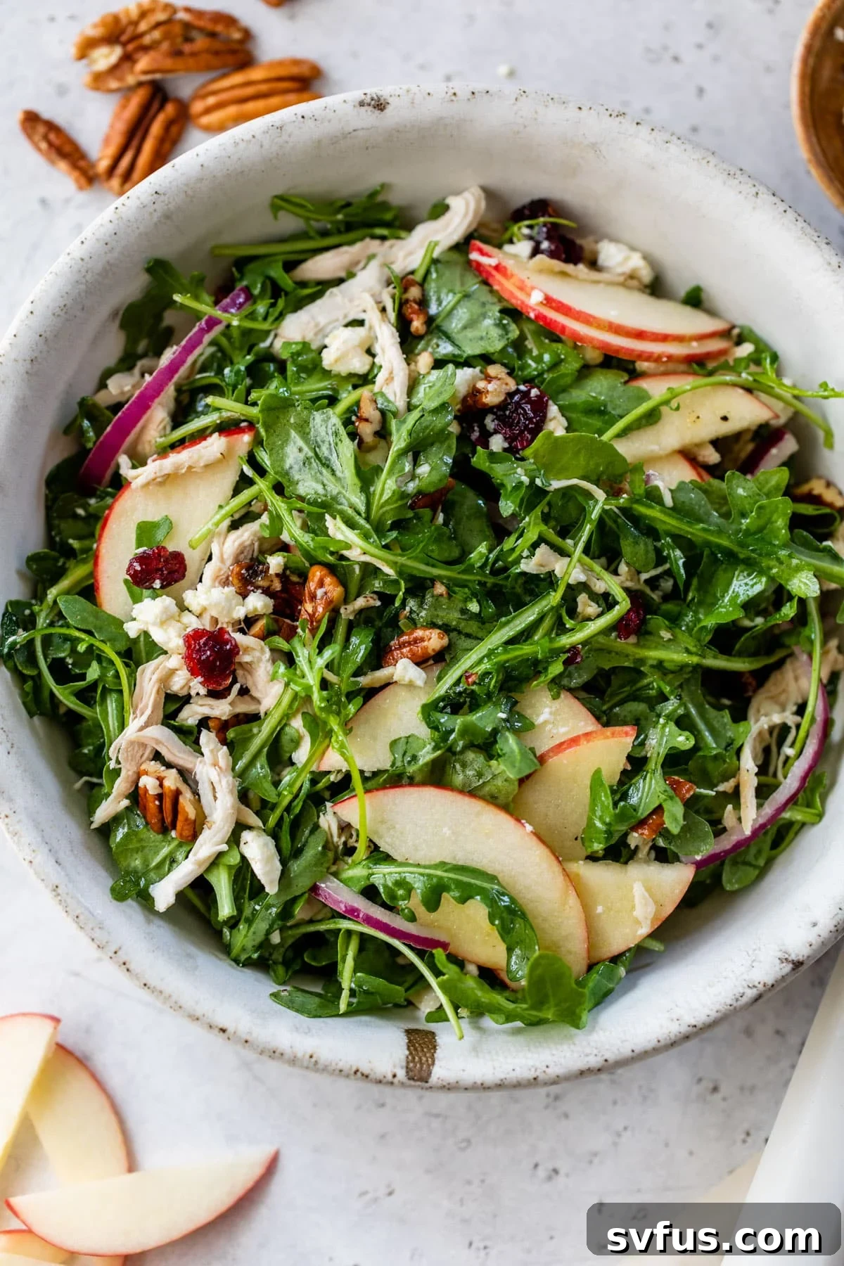 A beautifully presented Apple Pecan Salad, showcasing crisp apples, toasted pecans, tender chicken, and crumbled feta on a bed of fresh greens.