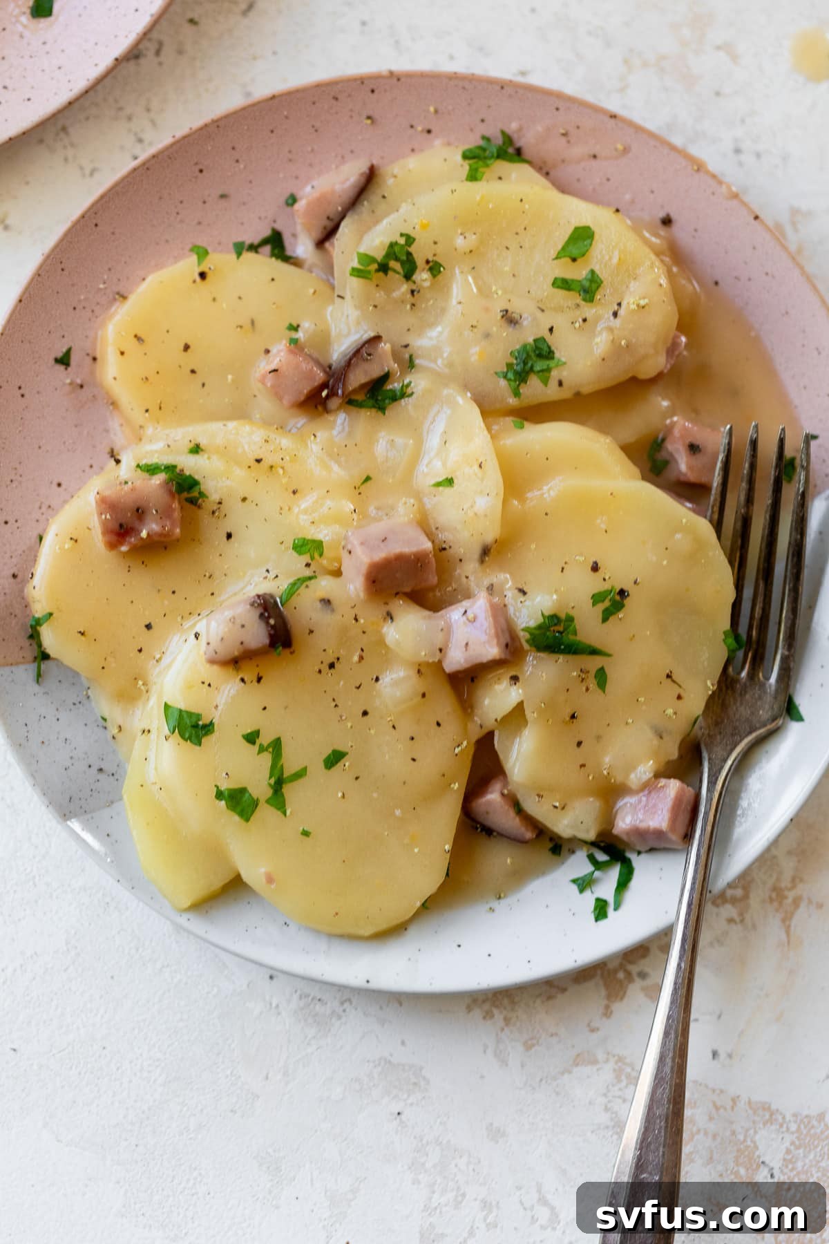 close-up shot of scalloped potatoes and ham on a white plate with a fork, showcasing its creamy texture