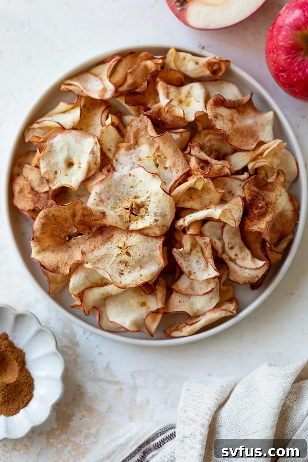A bowl of golden brown, crispy air fryer apple chips sprinkled with cinnamon sugar.