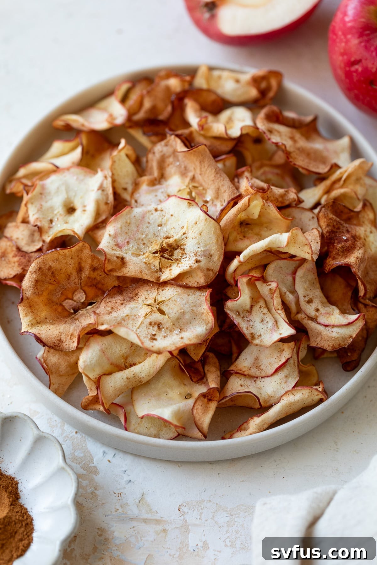 A bowl filled with air fryer apple chips, ready for serving or storage.