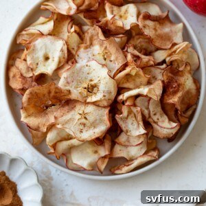 air fryer apple chips in a bowl