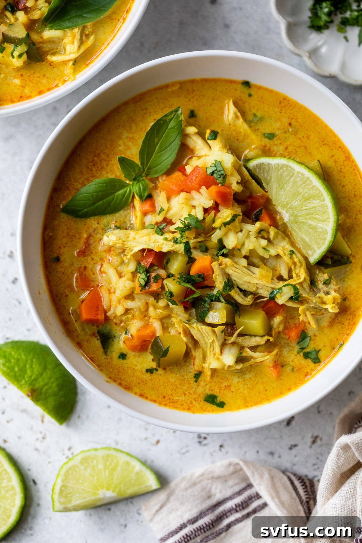 chicken curry soup in a bowl