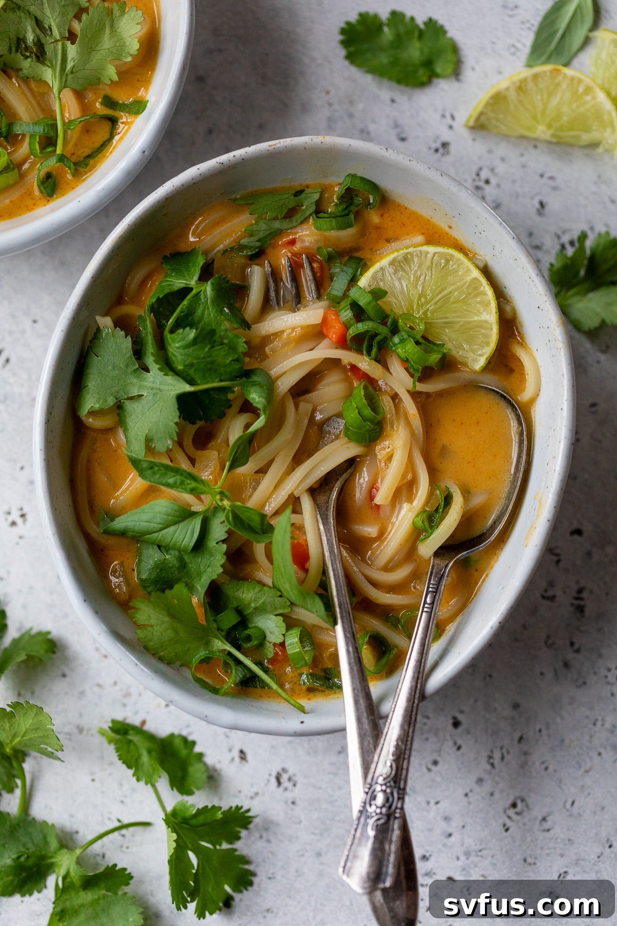 A perfectly portioned bowl of vegan red curry noodle soup with garnishes, ready to be enjoyed