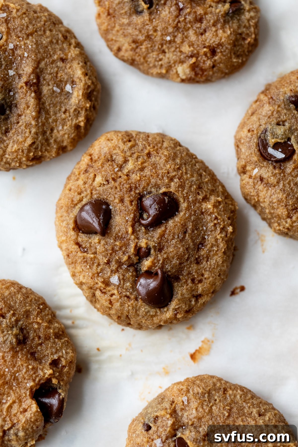 overview of several protein cookies on a clean white surface