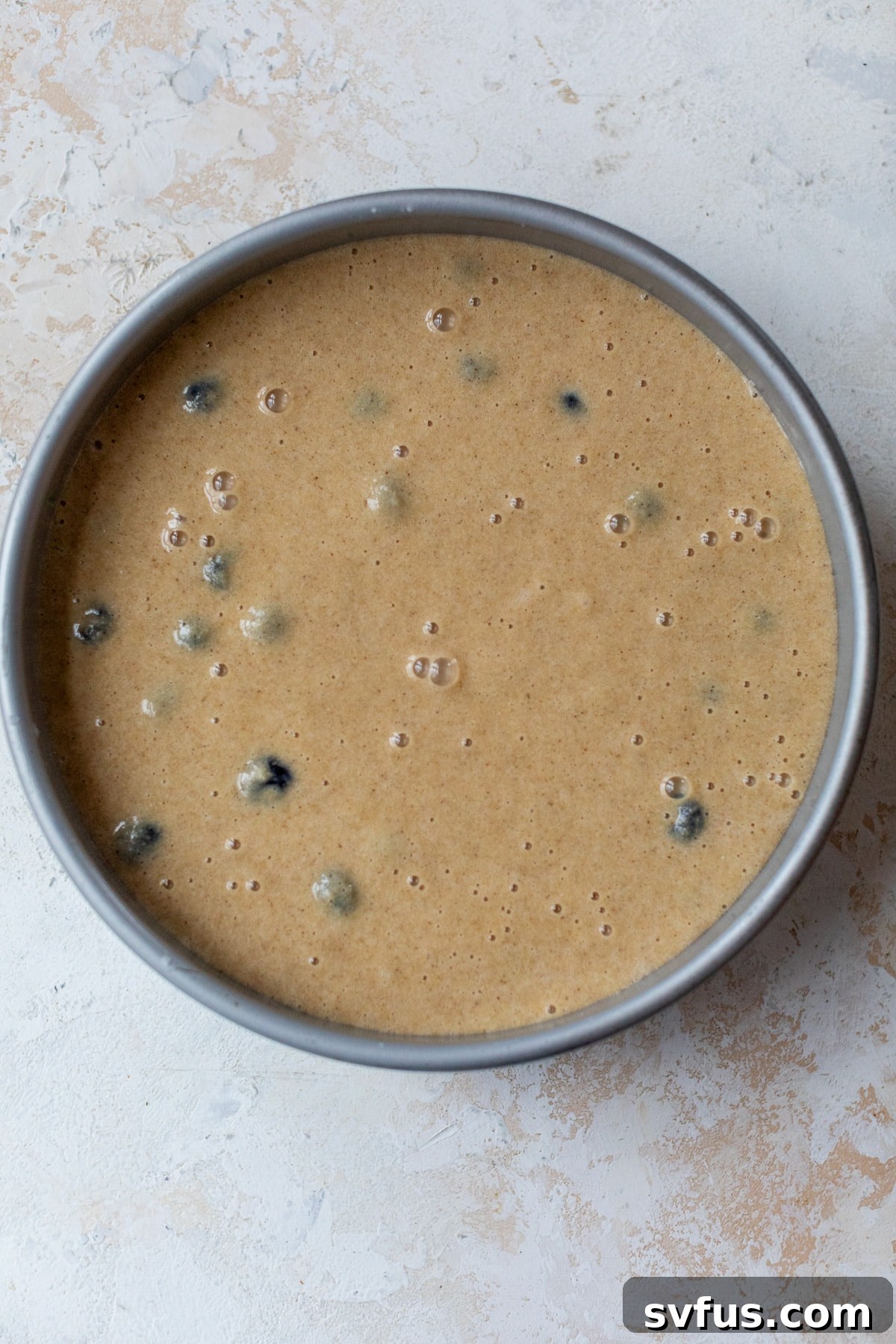 blueberry cake batter in a cake pan