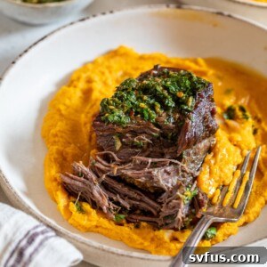 braised boneless short ribs served with chimichurri sauce over carrot puree in a bowl with a fork