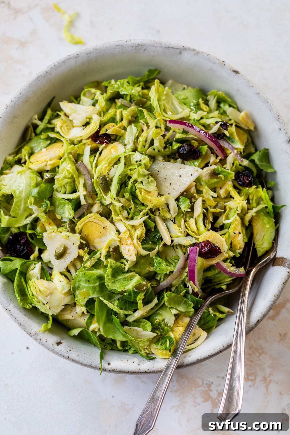 Close-up of the finished Brussels Sprouts Slaw in a bowl, showing the texture and fresh ingredients.