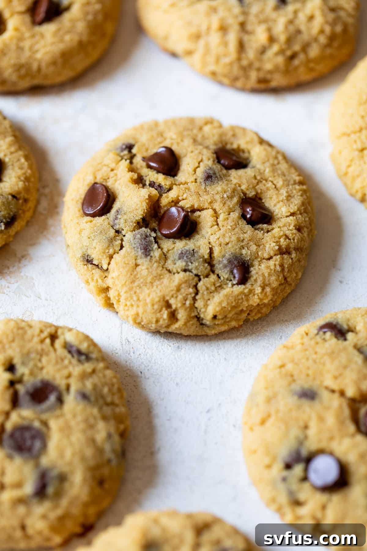 Baked chocolate chip Coconut Flour Cookies on a white surface, showcasing their golden edges and melty chocolate.
