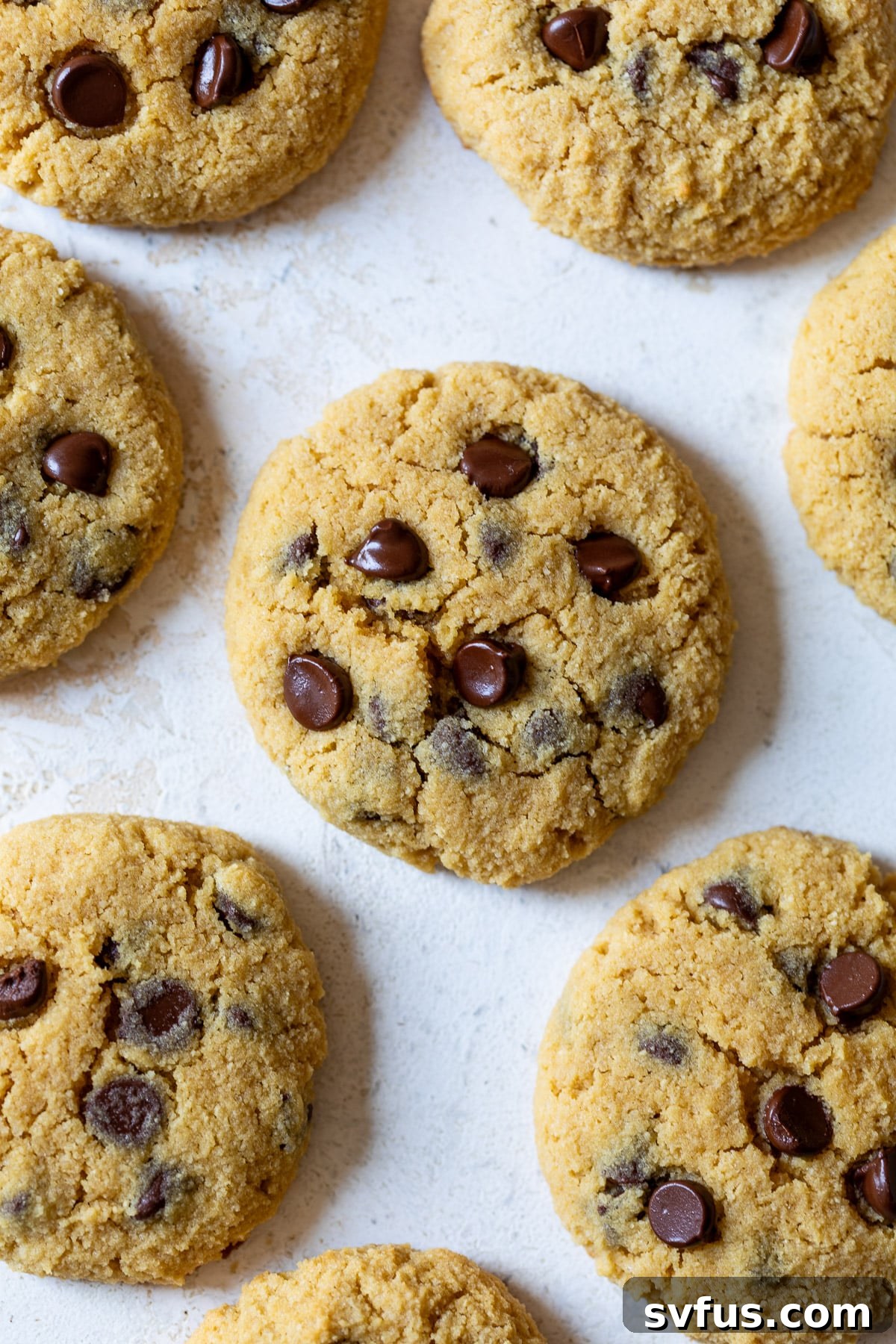 Freshly baked chocolate chip Coconut Flour Cookies, golden and inviting, arranged on a pristine white surface.