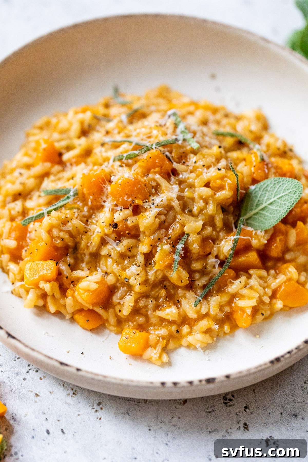 A beautifully presented plate of Butternut Squash Risotto, adorned with vibrant green sage leaves and a dusting of Parmesan cheese, ready to be enjoyed.