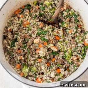 Cooked dog food consisting of beef, vegetables and white rice in a Dutch oven
