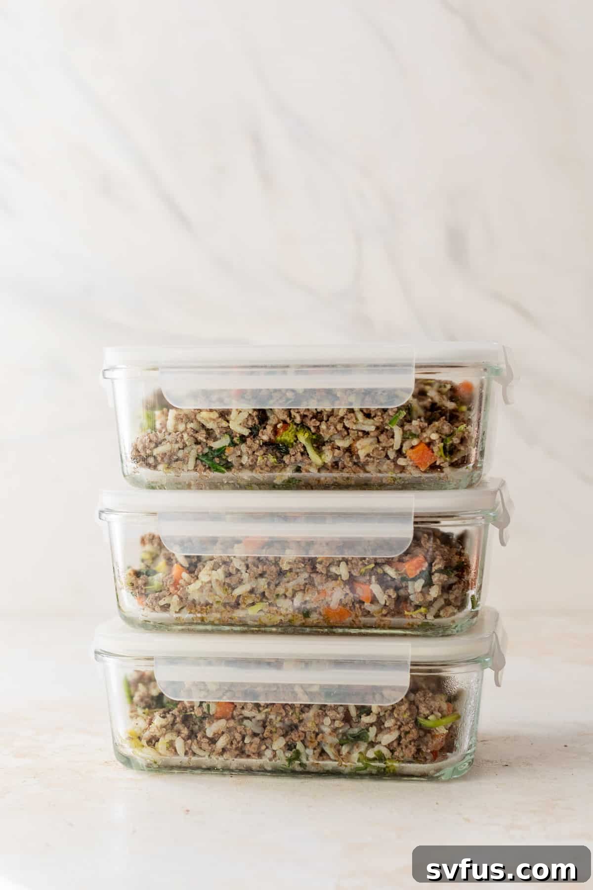 Homemade dog food portioned into three glass meal prep containers, ready for storage.