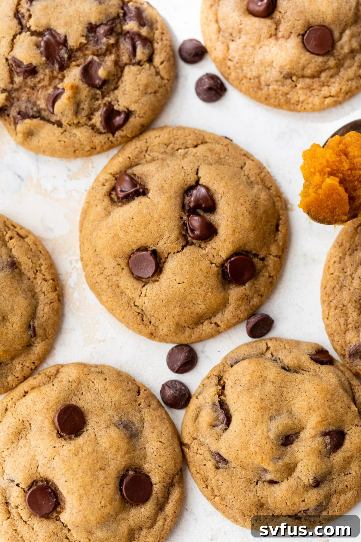 overhead view of baked pumpkin chocolate chip cookies on a cooling rack