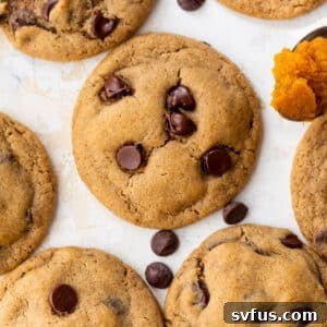Overhead view of baked pumpkin chocolate chip cookies, stacked and showing their soft texture.