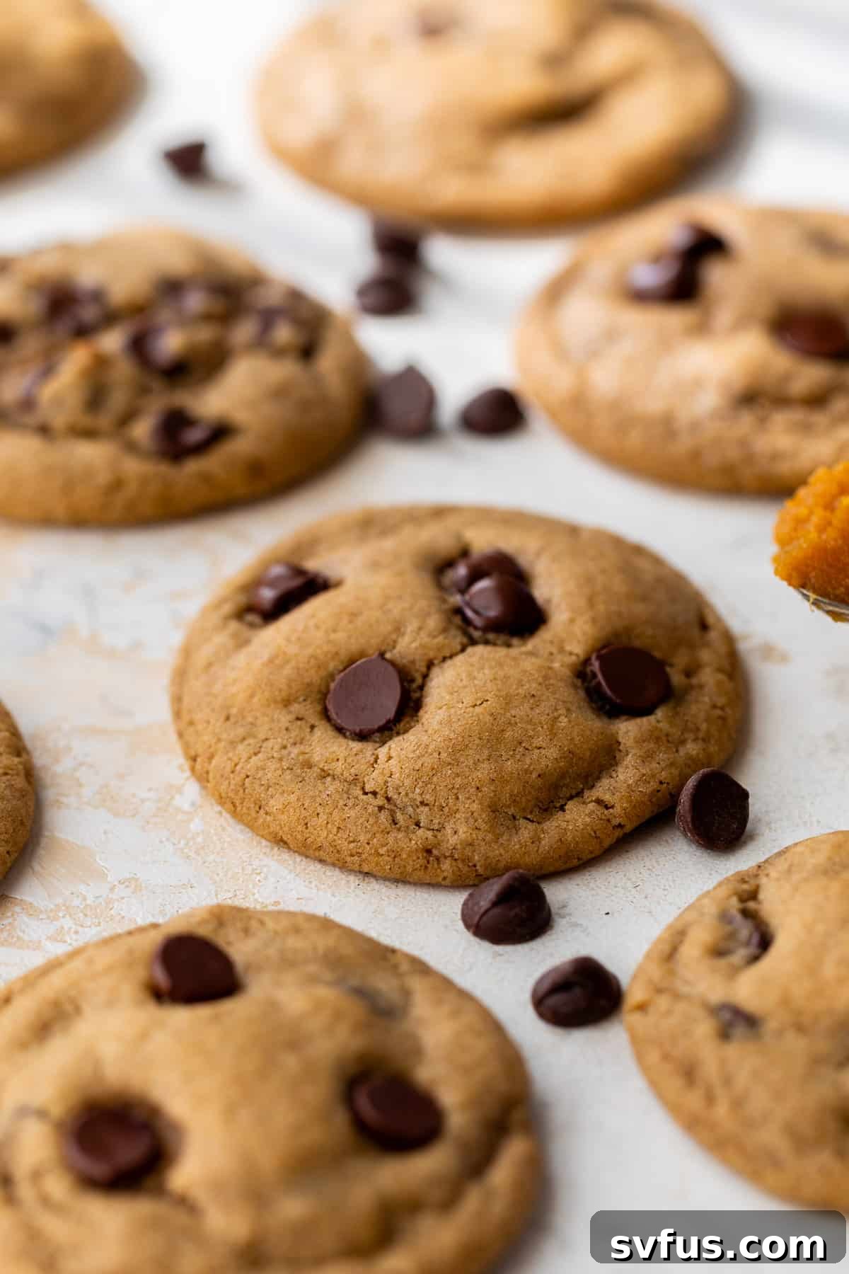 Close up on baked pumpkin chocolate chip cookies, showing their soft texture and melted chocolate.