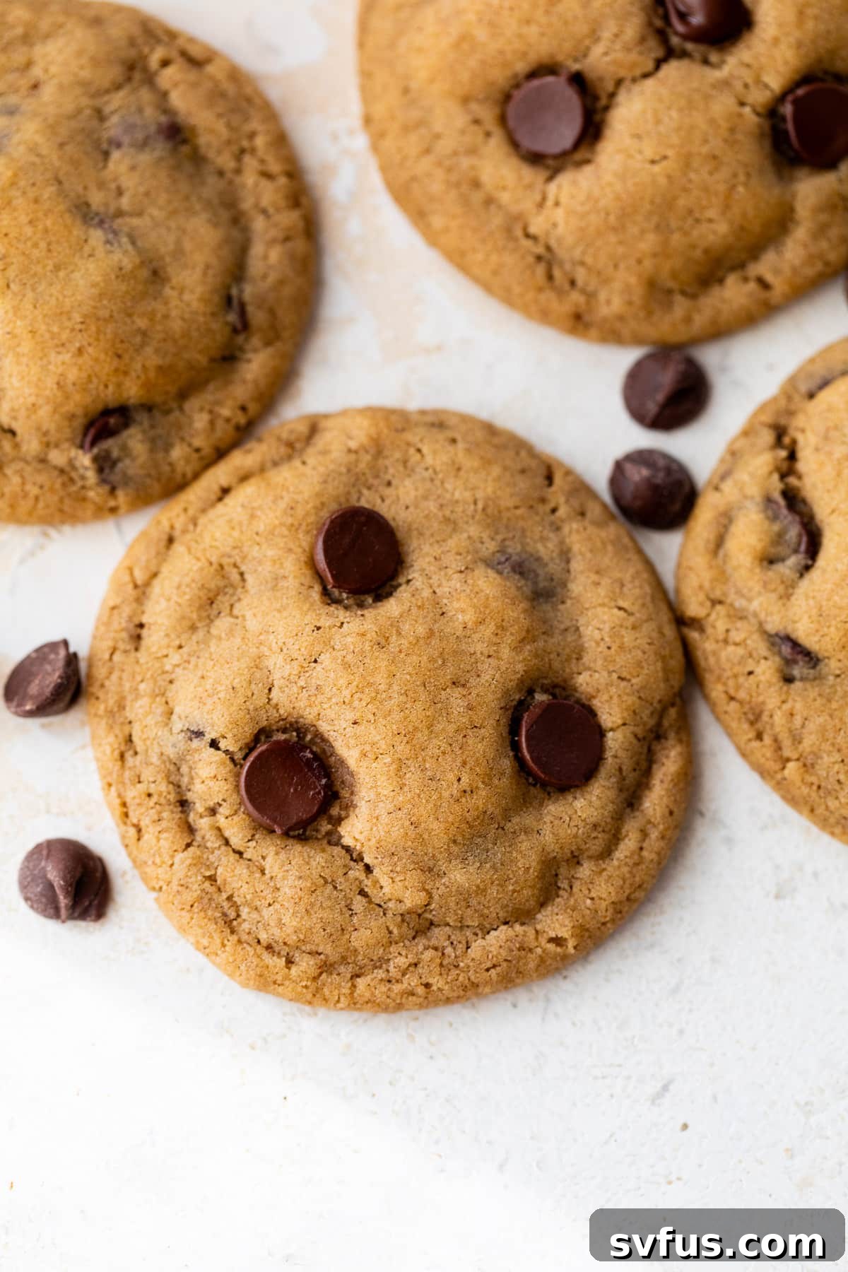 Close up overhead view of baked pumpkin chocolate chip cookies, showing their crinkled tops and melted chocolate.