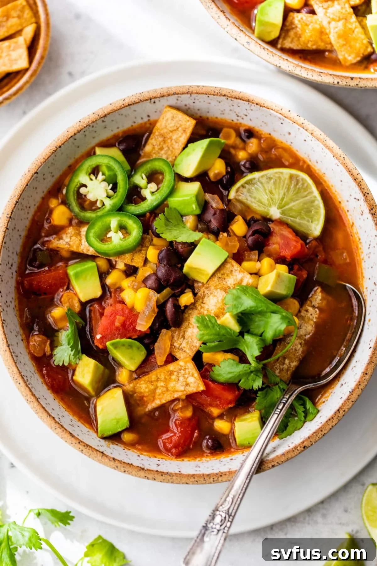 A vibrant bowl of vegan tortilla soup, garnished with fresh cilantro, sliced jalapeño, and crispy tortilla strips.