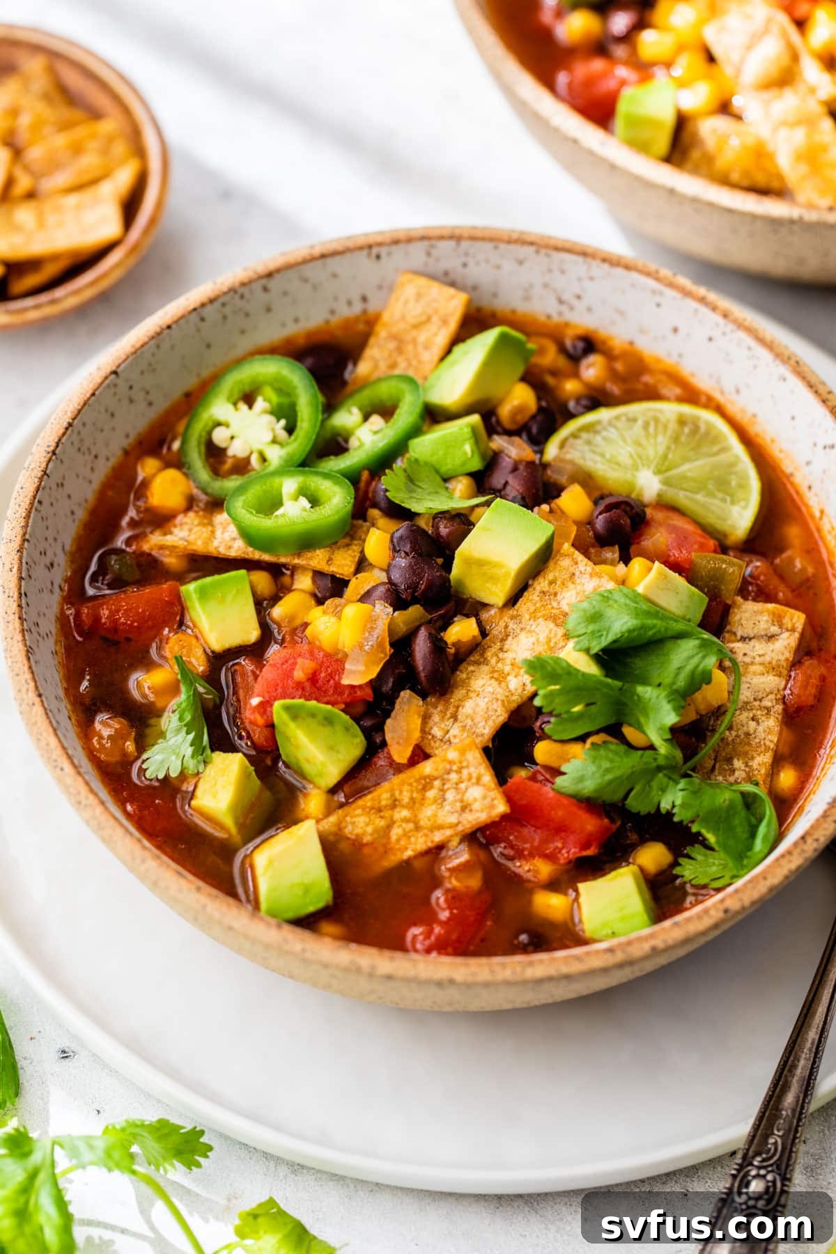 A bowl of vegan tortilla soup generously topped with sliced fresh jalapeño, chopped cilantro, and golden-brown crispy tortilla strips, ready to be enjoyed.