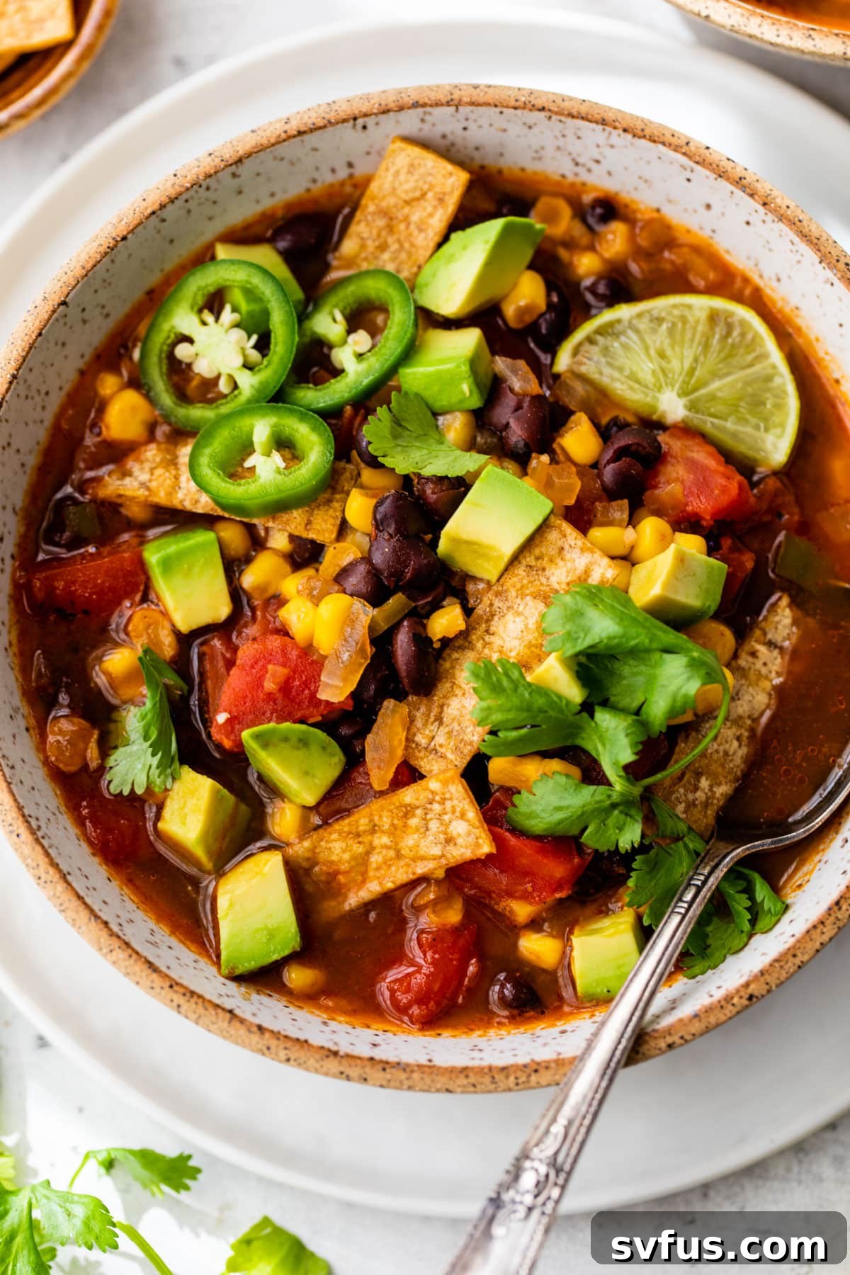 A close-up shot of vegan tortilla soup in a bowl with a spoon, generously topped with fresh cilantro, sliced jalapeño, and golden-brown crispy tortilla strips.