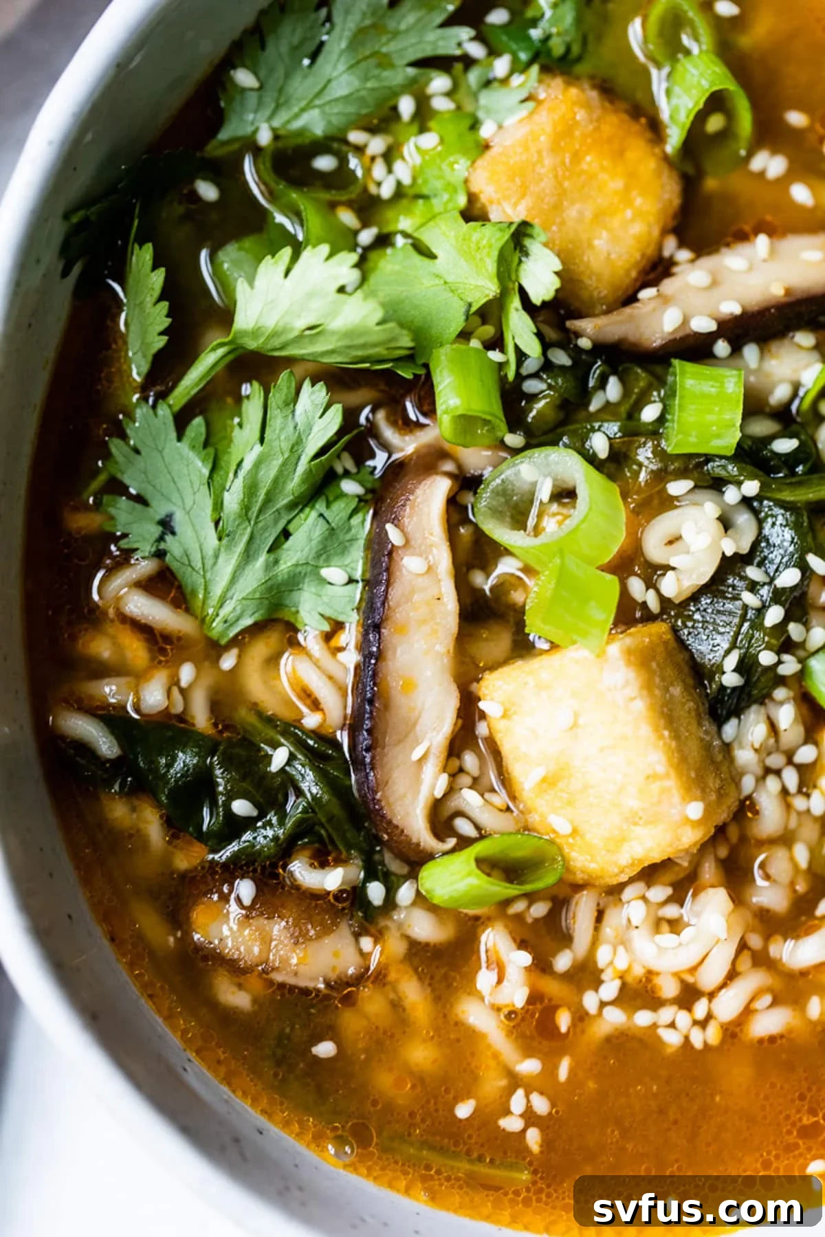 close up on a bowl of vegan ramen, showing crispy tofu and vegetables.