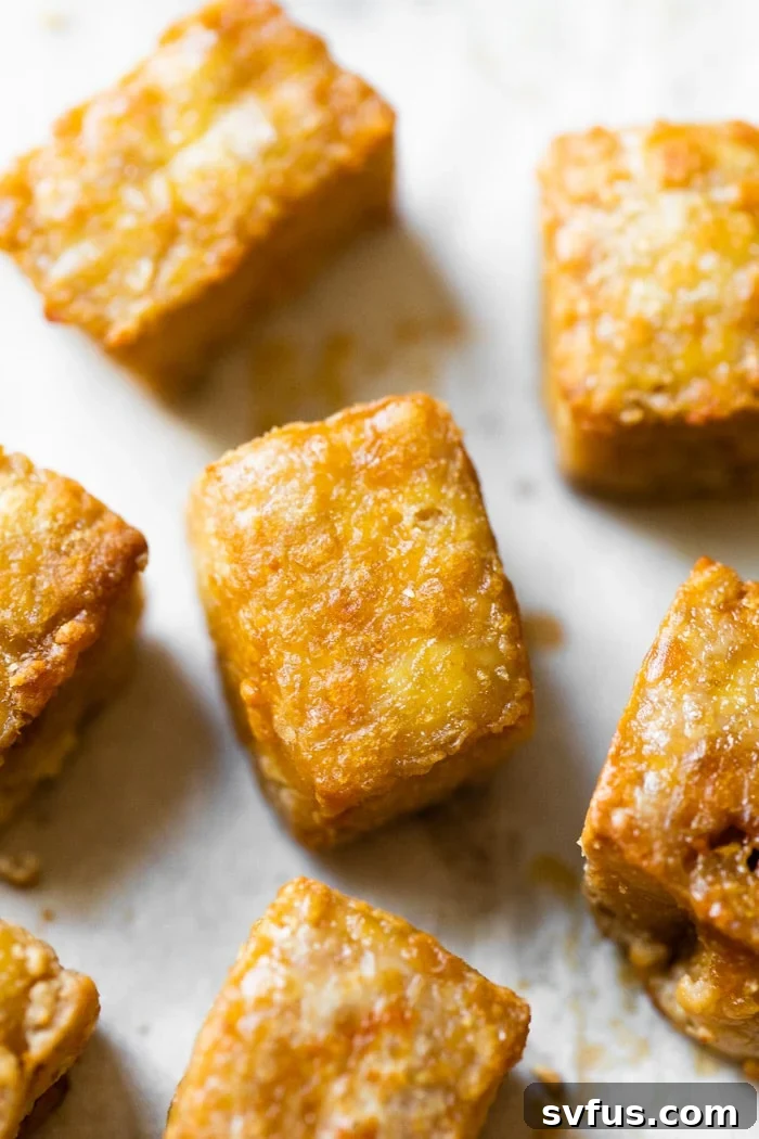 Close-up shot of several perfectly crispy baked tofu cubes, showing their golden brown exterior and inviting texture.