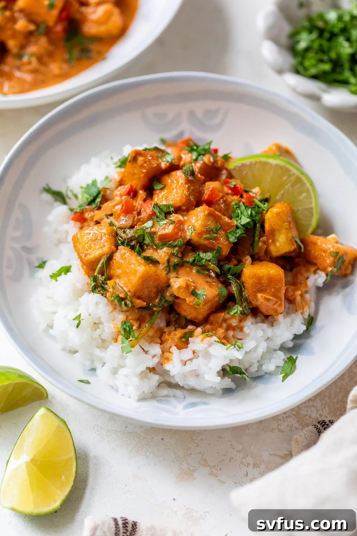 A second appealing shot of white rice topped with flavorful tofu curry in a white bowl, ready to be enjoyed or stored.
