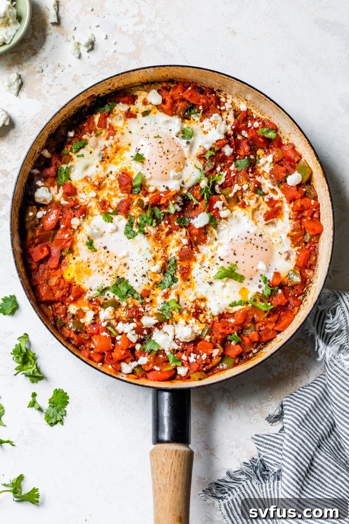 A top-down view of a generously portioned shakshuka in a large cast-iron skillet, showcasing multiple eggs, chunky tomatoes, and fresh garnishes.