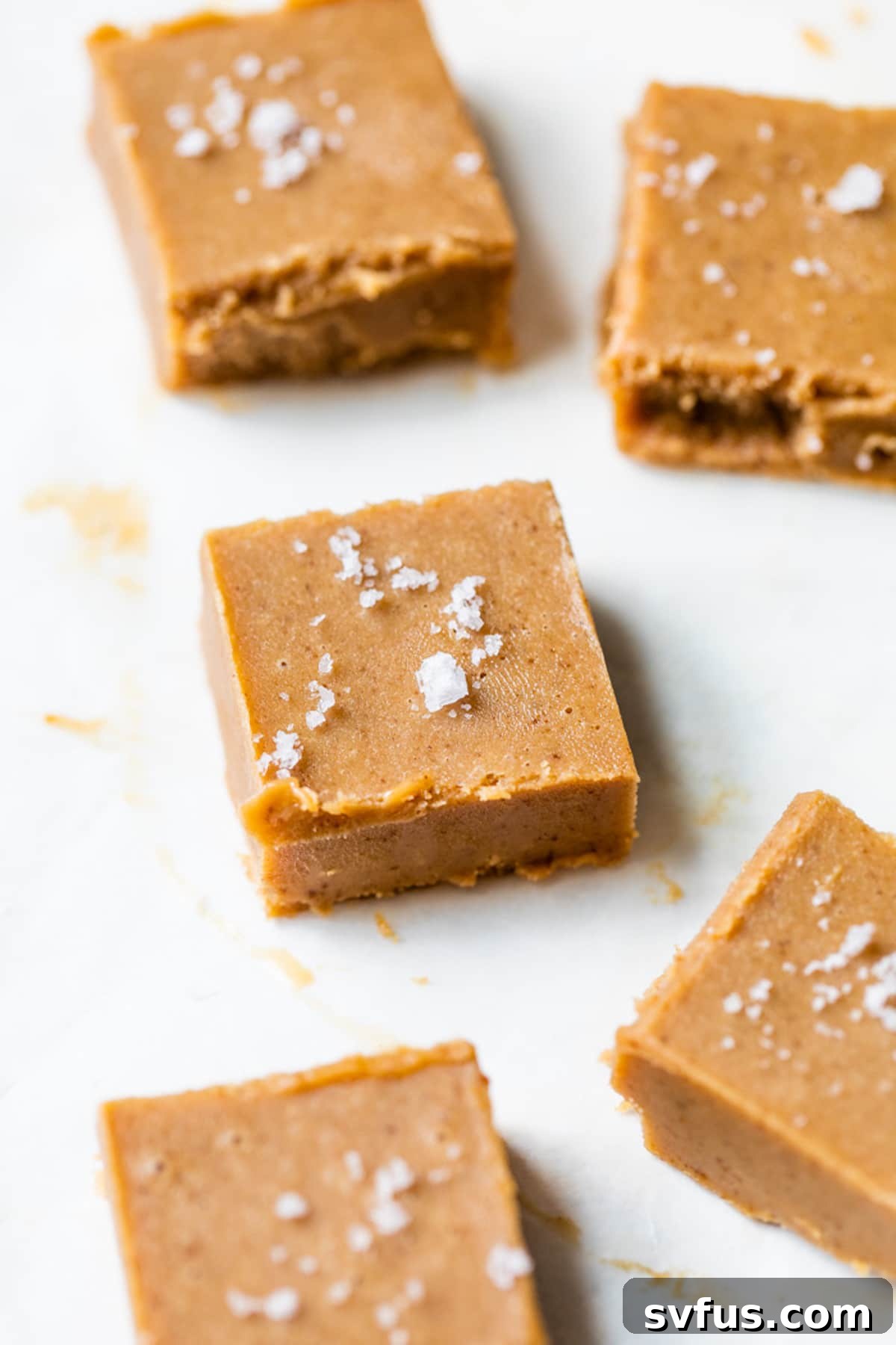 Dairy-free peanut butter fudge squares, perfectly cut and topped with flaky sea salt, arranged beautifully on a serving plate.