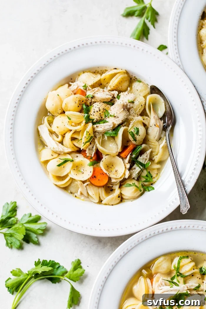 bowl of soup with noodles and chicken