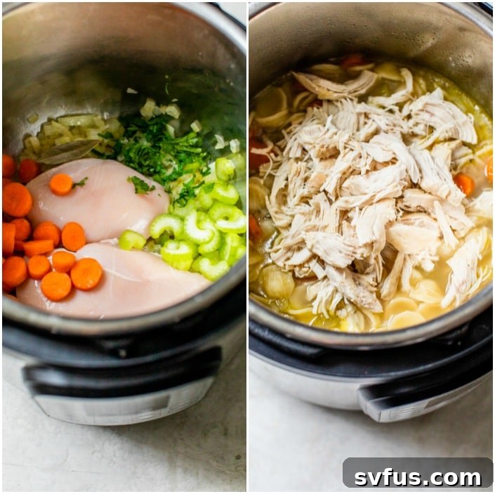 how to make chicken soup in the instant pot