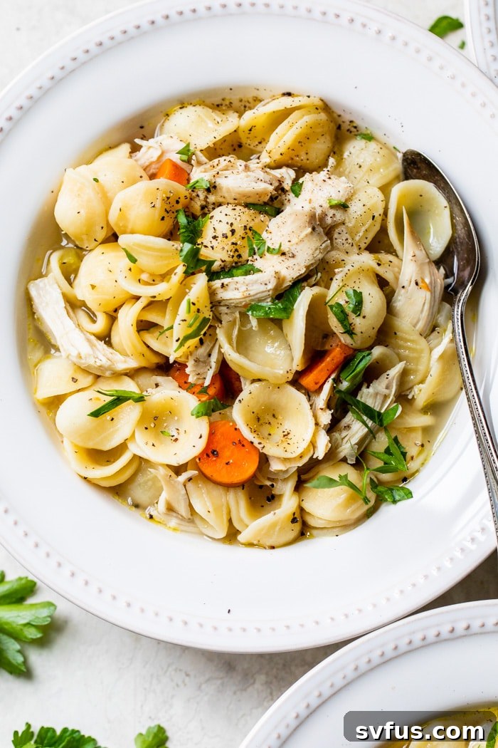 bowl of soup with noodles and chicken