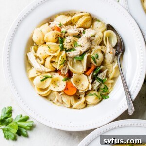 bowl of soup with noodles and chicken