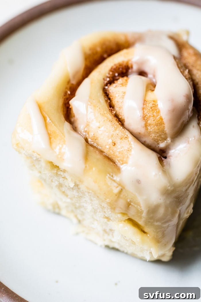 A close-up of fluffy and perfectly golden vegan cinnamon rolls, showcasing their soft texture and generous swirls of cinnamon sugar. You'll never know they're dairy-free; prepare to make these delightful rolls again and again!