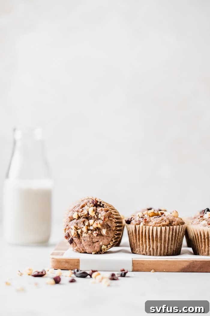 A tempting display of wholesome whole wheat morning glory muffins, packed with nutritious ingredients like raisins and nuts, perfect for a healthy and quick breakfast on the go.