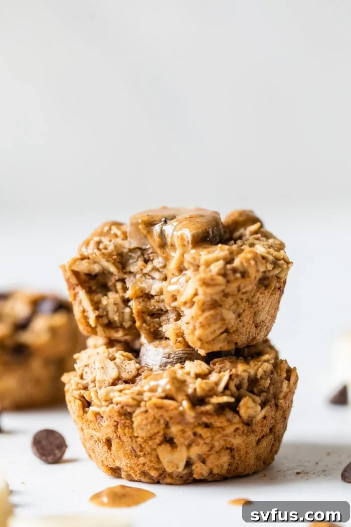 Close-up of an oatmeal muffin with a bite taken out, revealing the soft, oaty interior with chocolate chips