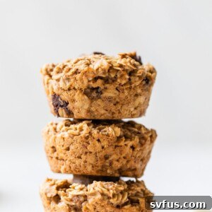stack of chocolate chip oat muffins