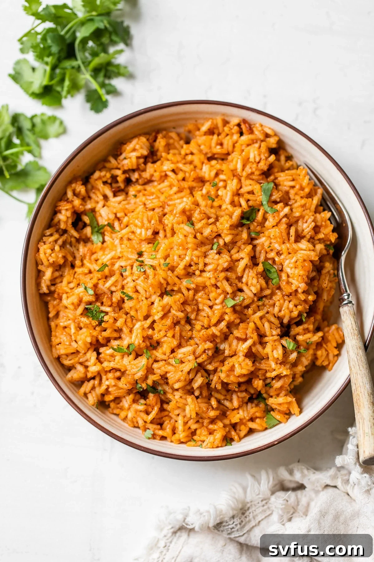 large bowl of rice